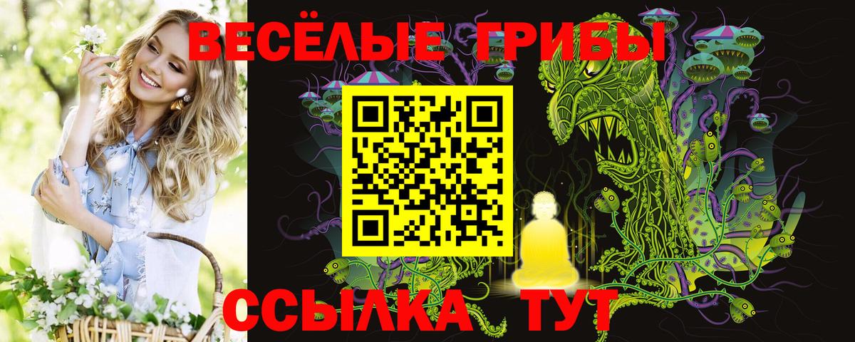 Галлюциногенные грибы Psilocybine cubensis Сургут