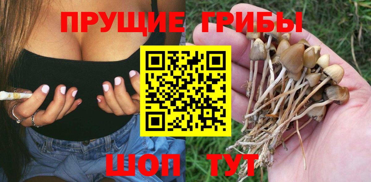 Сургут  Галлюциногенные грибы Magic Shrooms  Вход с VPN 